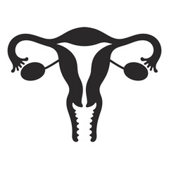 female reproductive system anatomy  human uterus and ovaries, vector illustration