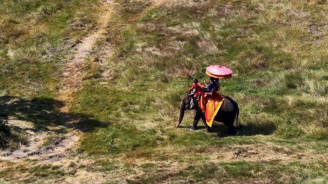 Elephant with Mahout and Tourists Walking Through Grassy Field in Ayutthaya