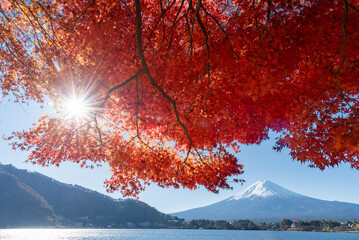 Mount Fuji, the iconic symbol of Japan, during the season of autumn foliage, a period of exceptional beauty.kawaguchiko,japan.