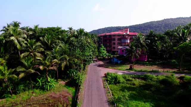 quiet village road surrounded by dense coconut trees and lush green landscapes at goa. day time, push back shot, drone shot, 4k.