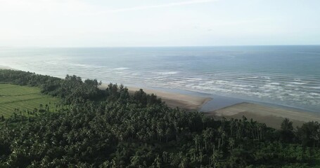 The road between the Rambungan Ferry and Sempadi is peaceful, scenic coastal secondary forests ,Mount Serapi,palm oil estates,Sempadi Beaches and Prawn Farm.