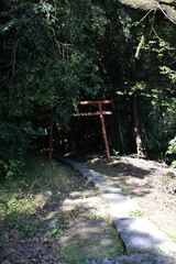 稲荷神社に続く鳥居の景色