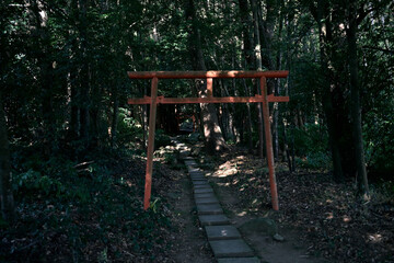 森の中にある神秘的な鳥居