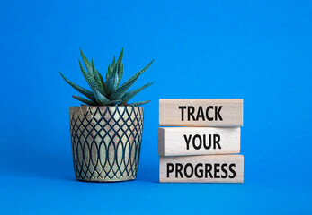 Progress symbol. Wooden blocks with words Track Your Progress. Beautiful blue background with succulent. Business and Track Your Progress concept. Copy space.