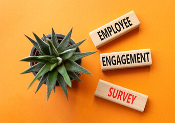 Employee Engagement Survey symbol. Concept words Employee Engagement Survey on wooden blocks. Businessman hand. Beautiful orange background with succulent. Business concept. Copy space.