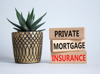 Private Mortgage Insurance symbol. Wooden blocks with words Private Mortgage Insurance. Beautiful white background with succulent plant. Business concept. Copy space.