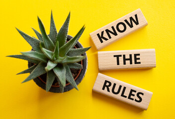 Know the rules symbol. Wooden blocks with words Know the rules. Beautiful yellow background with succulent plant. Business and Know the rules concept. Copy space.