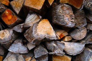 Fototapeta premium Firewood stacked neatly in the garden
