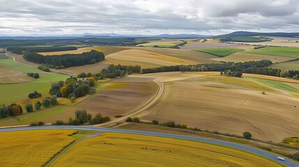 Obraz premium Aerial View of Golden Sunflower Fields with Winding Blue Road and Green Vegetation 