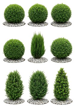 Assorted Topiary Shrubs - A Collection of Green Garden Art.