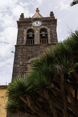 Clock and bell tower of Saint Augustine church, stone architecture behind dragon tree in La Laguna, San Cristobal de La Laguna, Tenerife.