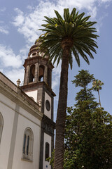 Palm tree beside Cathedral of San Cristobal de La Laguna, church tower and white facade under blue sky in La Laguna, Tenerife.