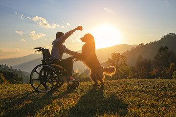 Silhouette of young girl in a wheelchair playing with her golden dog together on mountain sunset , a touching scene of companionship, loyalty, and hope