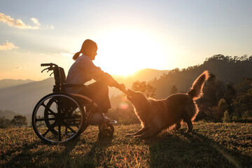 Silhouette of young girl in a wheelchair playing with her golden dog together on mountain sunset ,...
