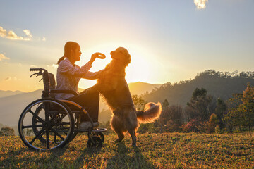 Silhouette of young girl in a wheelchair playing with her golden dog together on mountain sunset , a touching scene of companionship, loyalty, and hope