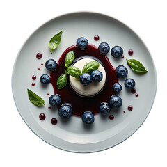 Top view of blueberry and basil panna cotta in Michelin star dessert plating isolated on white transparent background