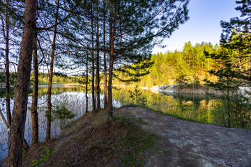 Obraz premium Forest edge with a view of a quarry lake surrounded by forest. Landscape with a clear lake on the site of an old stone quarry.