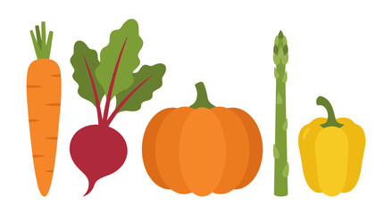 Vegetables Lineup Illustration.