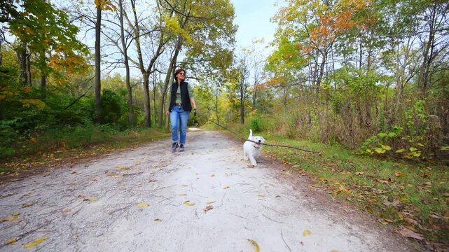 Woman walking with her dog in the forest, enjoying a moment of relaxation in nature. Dog is carrying a long stick 