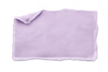 Torn piece of blank lavender paper with delicate curled edge, isolated on transparent background, offering space for custom text