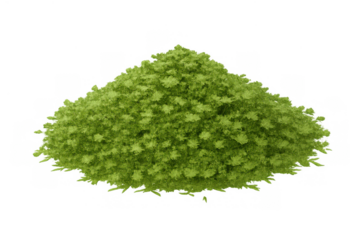 Lush green bush with vibrant foliage, a garden accent providing natural beauty on transparent background