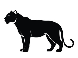 Fototapeta premium Black silhouette of a panther standing