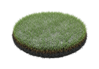 Patch of Green Grass covered with snow, isolated on transparent cutout background, cut out, png
