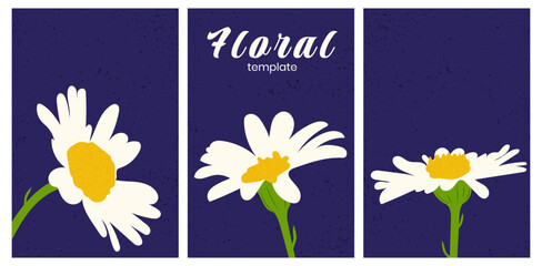 Daisies. A set of minimalist vintage postcards featuring hand-drawn daisies. Modern, minimalist retro illustration.