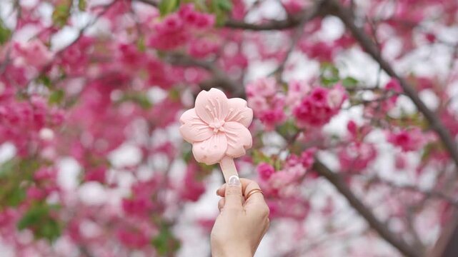 Young woman tourist holding cherry blossom-shaped ice cream while visiting the Cherry Blossom Valley in Kunming