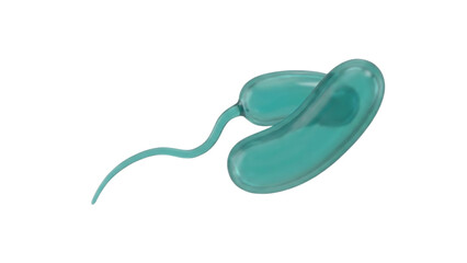 3D illustration of a single bacterium with flagellum, isolated on transparent background for science.