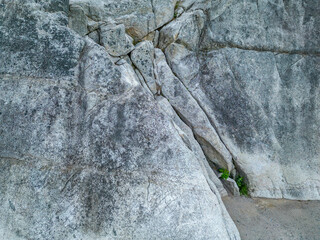 Rugged Gray Rock Face with Vertical Cracks and a Small Crevice Plant, British Columbia, Canada