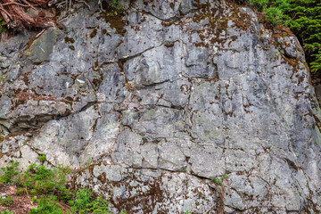 Rugged Mossy Rock Face With Cracks and Greenery in British Columbia, Canada
