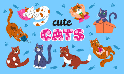 Cute cat. Pets paw. Icon animal. Sticker kitten baby. Sitting in box, actives pose, playful kitty with yarn. Breed meows adorable. Cats day banner. Vector tidy cartoon flat style isolated illustration