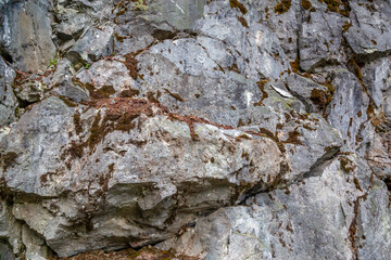 Rugged Mossy Rock Face With Cracks and Greenery in British Columbia, Canada