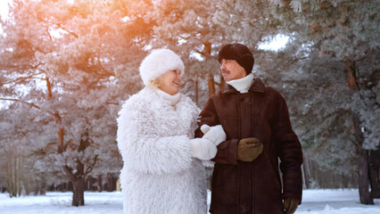 Couples Enjoy Snowy Outdoor Adventure, Cheerful Duo Wandering Through Snowy Scenic Environment Happily, Two Individuals Experiencing Joy While Walking Through Picturesque Winter Landscape Together