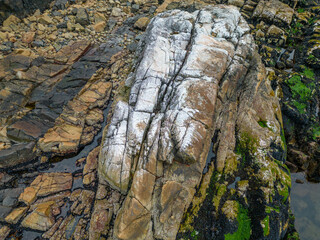 Cracked Coastal Rocks Rise Over Mossy Tide Pools on British Columbia's West Coast