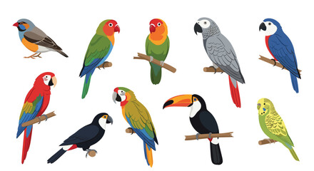 Large selection of colorful tropical parrots including macaws, parakeets, and toucans perched on wooden branches in a diverse collection.
