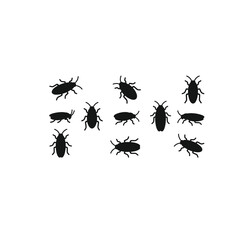 Collection of various beetle silhouettes on white background.