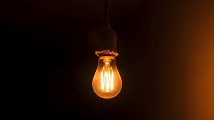 Warm Glow of a Vintage Edison Light Bulb