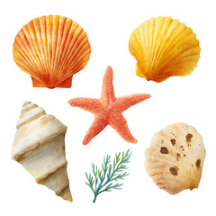 Obraz premium Seaside Shells and Starfish Natural Elements Illustration