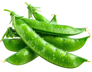 Freshly picked sugar snap peas with water droplets on a white background