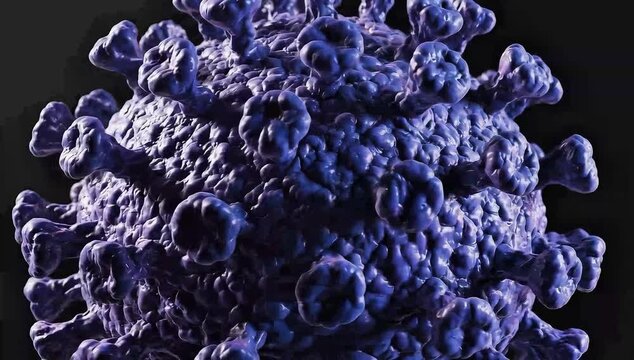 3D rendering of Herpes Simplex Virus structure medical illustration