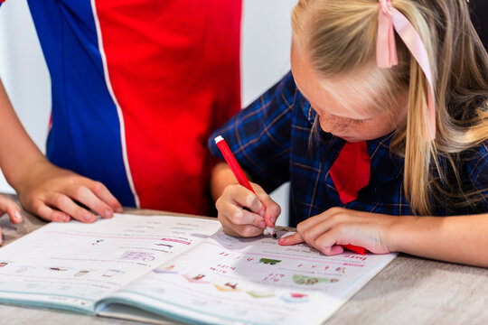 Older brother schoolboy helping tutor younger sister with homework
