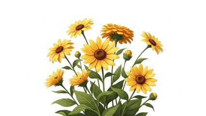 Fototapeta premium Close up Yellow garden flowers isolated on a white background
