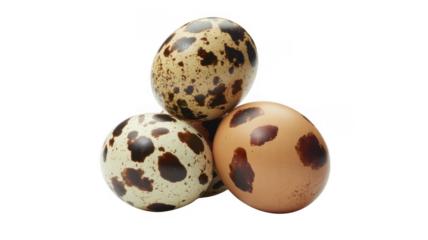 Three quail eggs with brown spots isolated on a transparent background