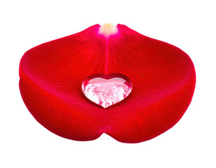 A single rose petal with a heart shaped water drop,white background