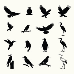 Flat Minimalist Bird Silhouette and Ornithology Icon Set