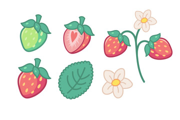 Cartoon strawberry set with ripe and unripe fruits, blossom, seedling. Vector isolated icons with outline
