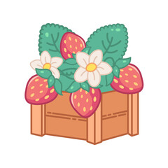 Cute strawberry crate with leaves and flowers. Kawaii harvest illustration with round outline. Cheerful spring doodle