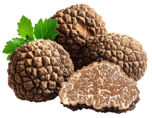 Exquisite black truffles with vibrant green leaves, one sliced to reveal marbled interior on white